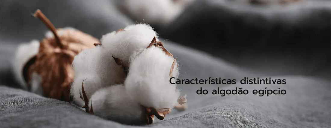 Curiosidades do algodão egípcio