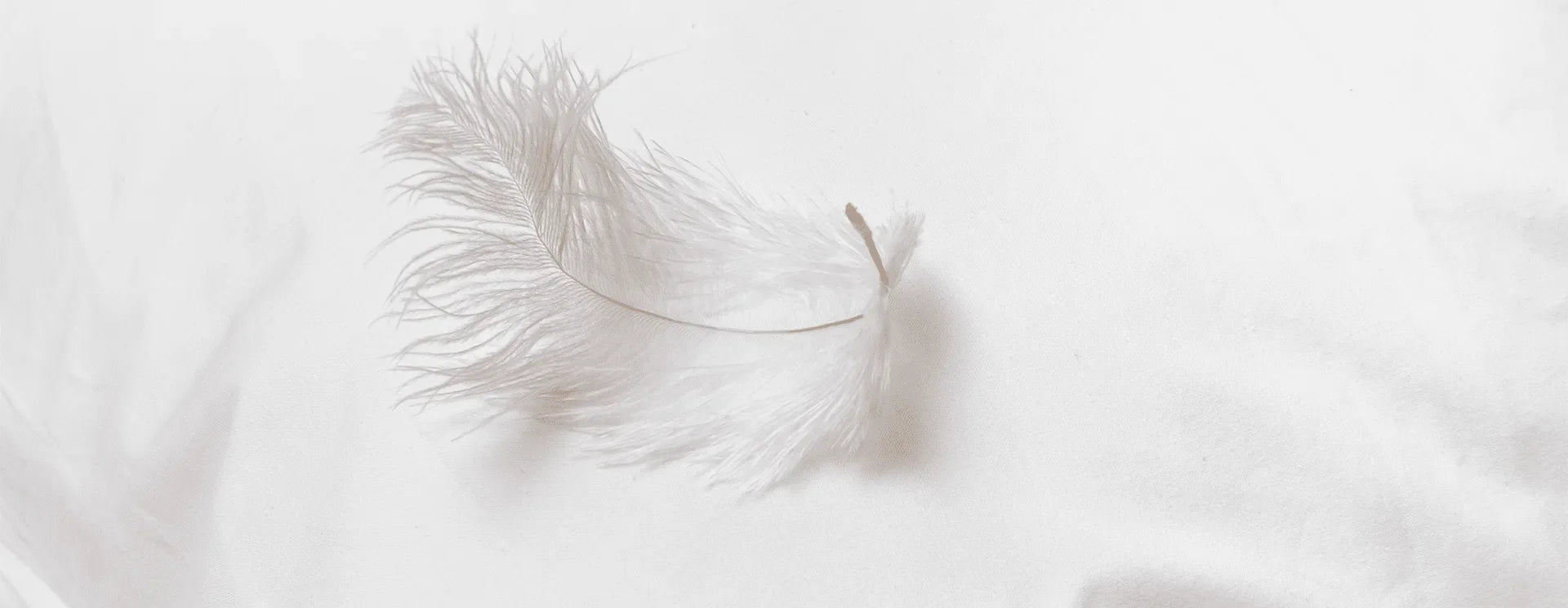 O que é melhor travesseiro de pluma ou pena de ganso?